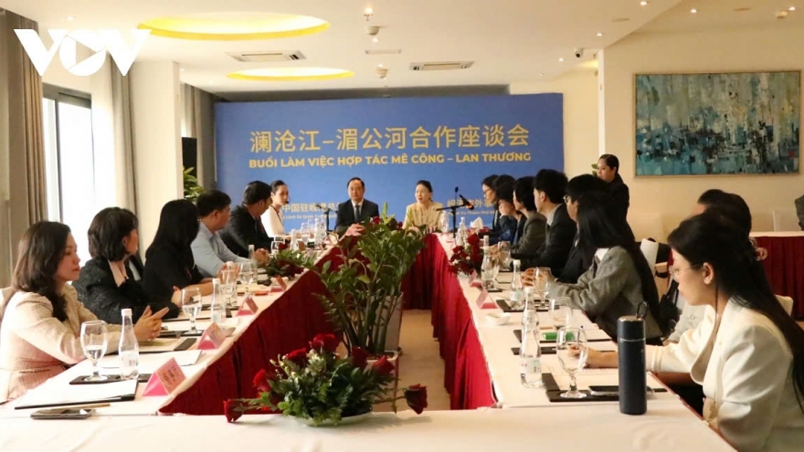 Da Nang seminar seeks to foster Mekong-Lancang cooperation